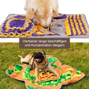 Schnüffelteppich
