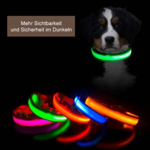 Leuchtendes LED Halsband